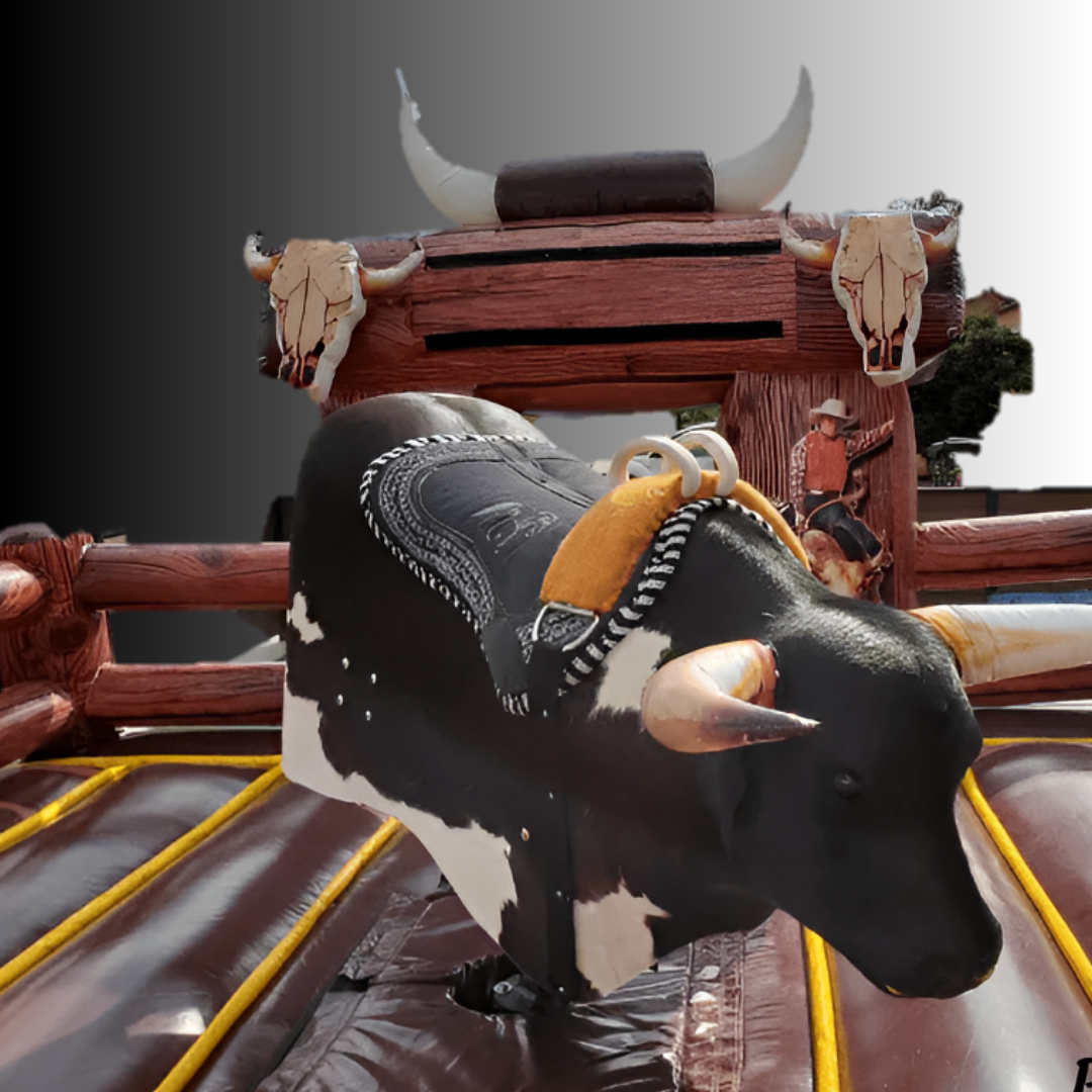 Mechanical Bull Rental